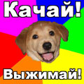 Аватара пользователя
