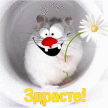 Аватара пользователя