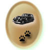 Аватара пользователя