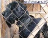 Аватара пользователя
