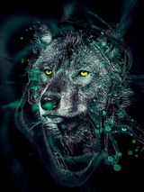 Аватара пользователя