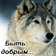 Аватара пользователя