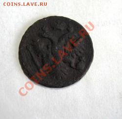 денга 1737 - IMG_0011.JPG