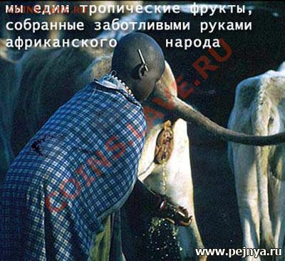 юмор - 1