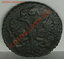 Полушка 1731год - Полушка 1731г.ав.2-1.JPG