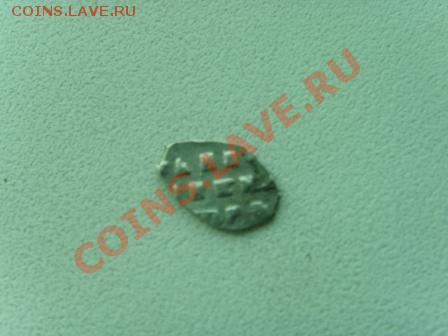 Чешуйка из оврага - SNV31298.JPG