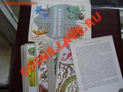 Продам много открыток ! - P3270542.JPG