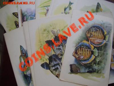Продам много открыток ! - P3270551.JPG