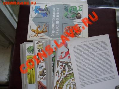 Продам открытки. - P3270542.JPG