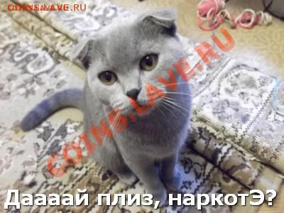 делает - прямо сейчас !!! - DSCF0113