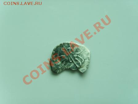 Новая чешуйка - SNV31386.JPG