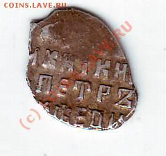Чешуйка Петра - I - IMAGE0019.JPG