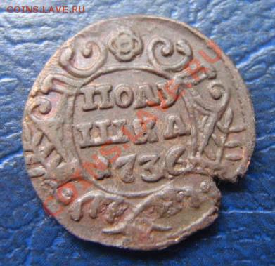 Полушки 1730-1754 годов. Галерея - P8082199.JPG