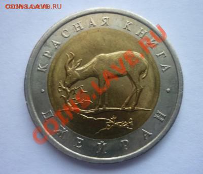 КК.94. "ДЖЕЙРАН". Оценка - P1130655.JPG