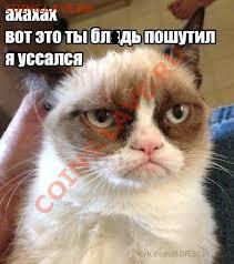 делает - прямо сейчас !!! - imagesCAJ4WXX0