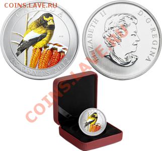 Монеты Канады и США... - 0623932038912-Z