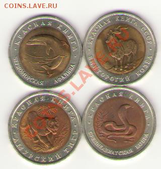 Красная книга 1991-93 (4 шт) до 10 декабря 22:00 - 013