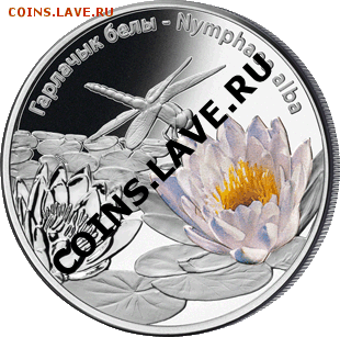 Белорусские монеты - 20121228_Kuvshinka_belaya_10R