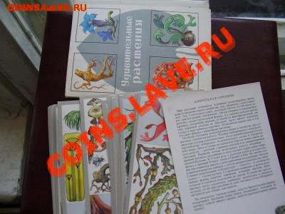 Продам открытки. - P3270542.JPG