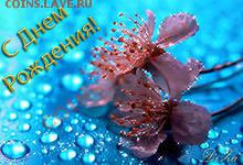 Владимир с Днем Рождения!!! - i