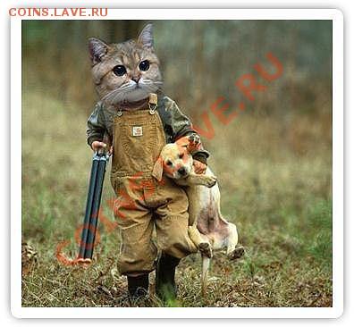 юмор - getImage (2)