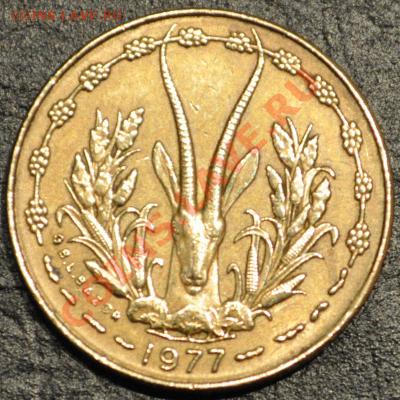 Западно-Африканские штаты	5 франков  	1977 -  до 25.02.2013 - DSC_0130
