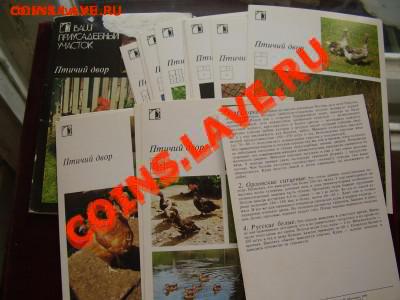 открытки разные - P3270541.JPG