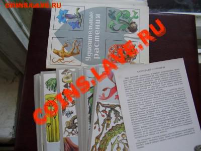 открытки разные - P3270542.JPG