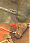 50 копеек 2005 сп -штамп? - 2009-11-19 18 56 06.GIF