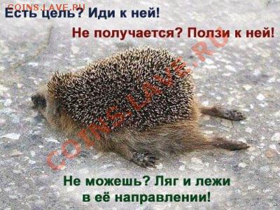 юмор - Безымянный