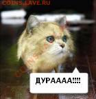 делает - прямо сейчас !!! - 58988