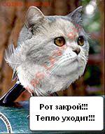 делает - прямо сейчас !!! - 63555