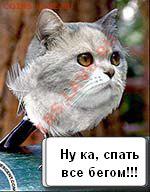 делает - прямо сейчас !!! - 63555