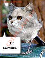 делает - прямо сейчас !!! - 63555