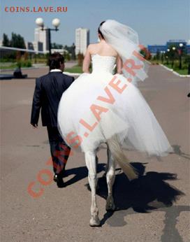 юмор - 51540131-29b2-87be-29b2-87f8d966d468.photo.0
