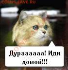 делает - прямо сейчас !!! - 58988