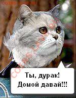 делает - прямо сейчас !!! - 63555