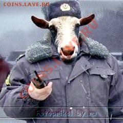 Игра "Железная Логика" - _14713~1.JPG