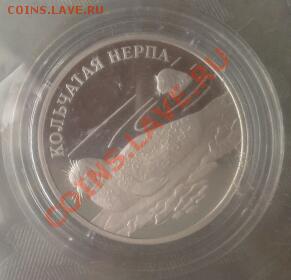 1 рубль кольчатая нерпа 2007 г. серебро проба 925. 15.55 гр. - 2013-06-27 17.49.53-1