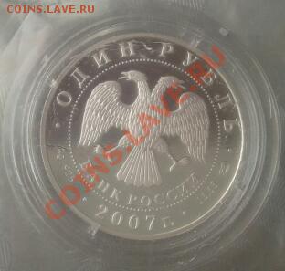 1 рубль кольчатая нерпа 2007 г. серебро проба 925. 15.55 гр. - 2013-06-27 17.50.11-1