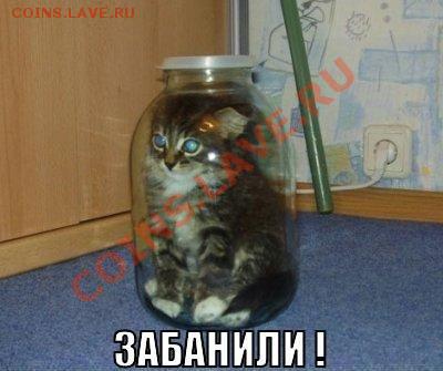 юмор - ahtjOkQCLiU