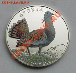 Дрофа (фауна Украины - цветная печать); до 22.09.13, 22мск - дрофа1.JPG