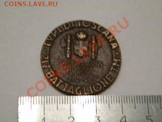 Итал.медаль: 7-ая пехотная дивизия "Тосканские волки" - SSCN2114.JPG