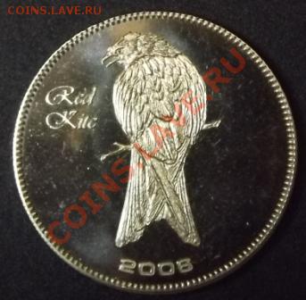 Сомали 25 шиллингов 2008Красный коршун - DSCF9403.JPG