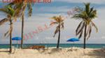 ..Las costas de Florida... - iCAX23E1M
