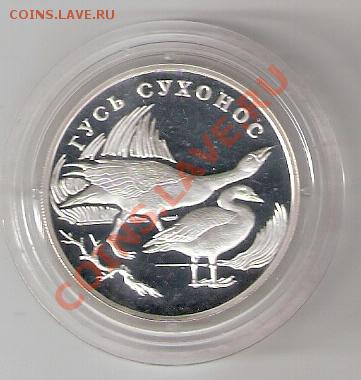 Серебро.1р.2006г.Гусь Сухонос.Ag925 - сканирование0032