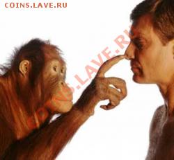 Ассоциация слов - эволюция