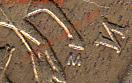 10 копеек 2004 г. М шт 1.3 А2? - IMG_NEW_NEW_NEW_0005