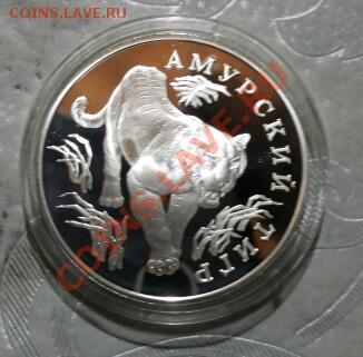 1 рубль Амурский тигр Ag 900 15,55 до 25.01.2014 - 20140125_013649-1
