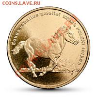 НОВОСТИ - 2014_02___konik_2zl_R_thumb